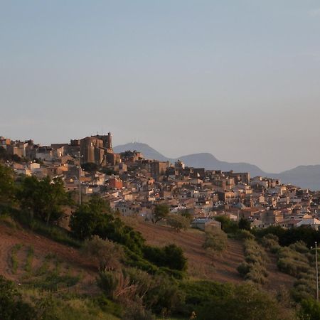 Villa Della Mimosa Alia Exteriér fotografie