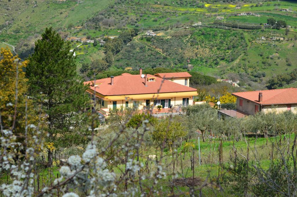Villa Della Mimosa Alia Exteriér fotografie