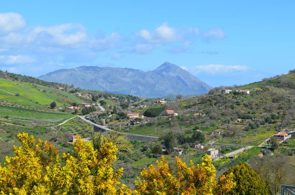 Villa Della Mimosa Alia Exteriér fotografie