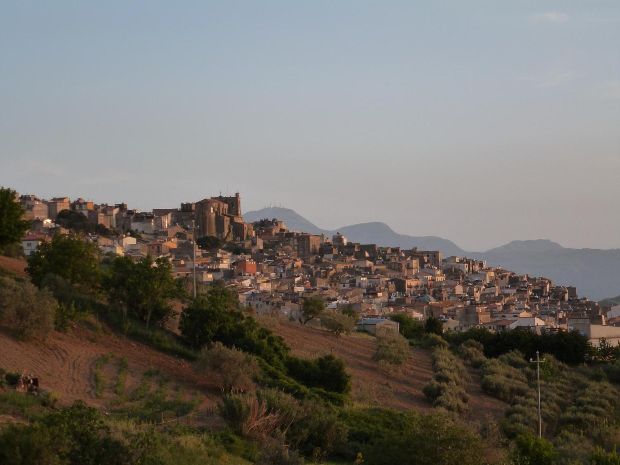 Villa Della Mimosa Alia Exteriér fotografie